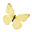 flutterbyowns