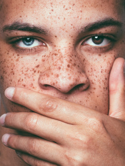 Troy Leonardo