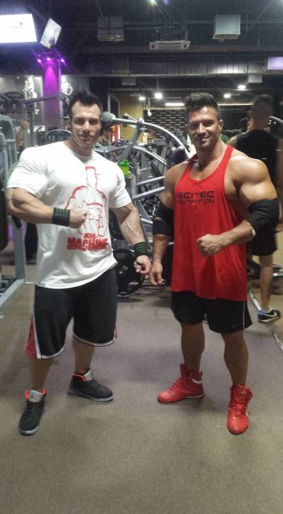 drwannabe:  Peter Molnar, Janos Csuhai 