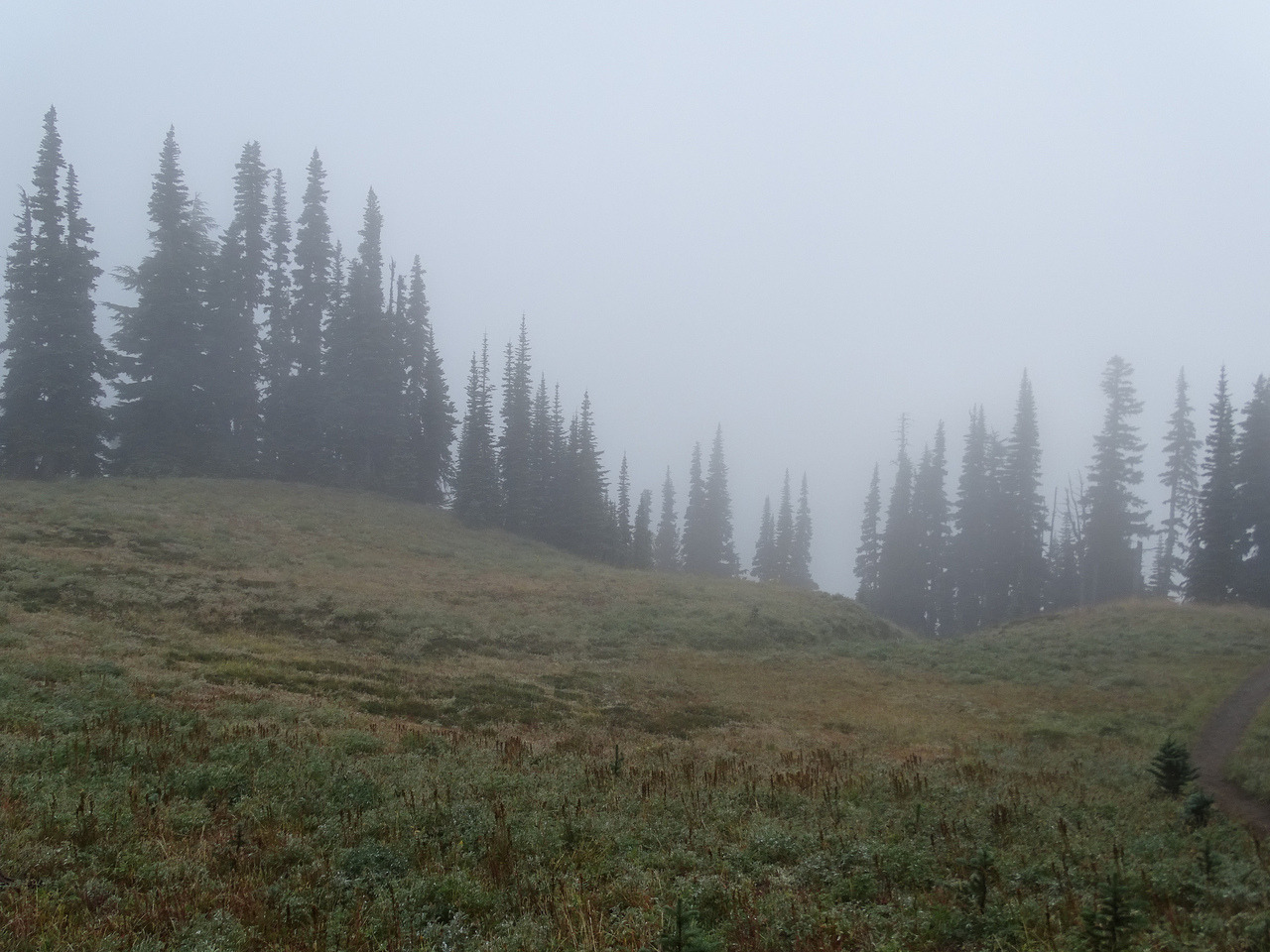 90377:    Foggy Summerland. by bikejr   