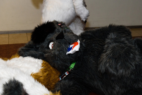 I have been to NordicFuzzCon 2018 last week! Unfortunately I couldn’t take Qetesh with me but 