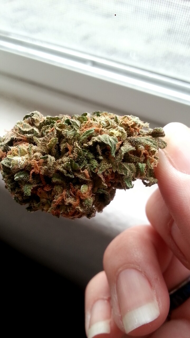 miripoppns:  Ruby Red and Northern Lights. I’m happy now 