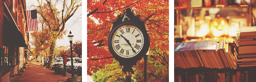 bessmarvinenthusiast:  littlenancydrewthings:  Autumn in River Heights aesthetic  Mmmmmm I needed th
