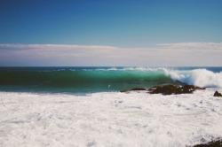 sassafranski:  Massive waves today 