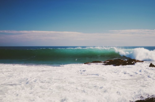 sassafranski:  Massive waves today 