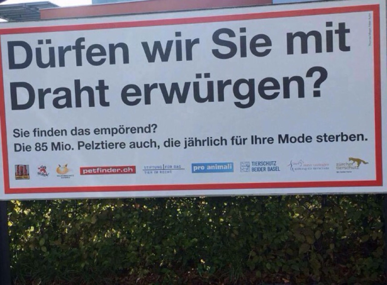 selbstgerecht:  “Are we allowed to strangle you with wire?  You think that’s