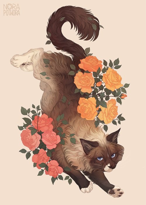 Pet poster commission for boltie_ with her beautiful ragdoll cat, Banksy. 