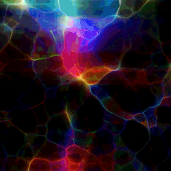 Protobacillus: Color K - Vj Loops Pack