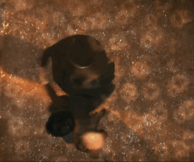 (Almost) All Of Klaus Dance Moves To Footloose