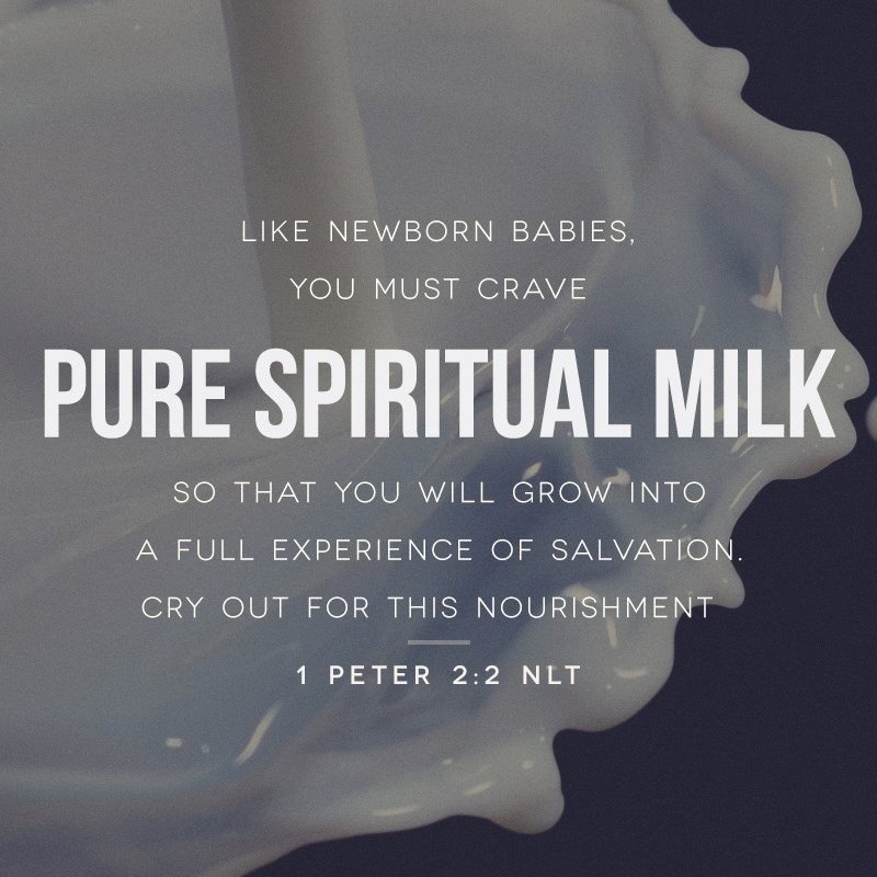 1 Peter 2 2 NLT Like Newborn Babies You Must Faithful In Christ