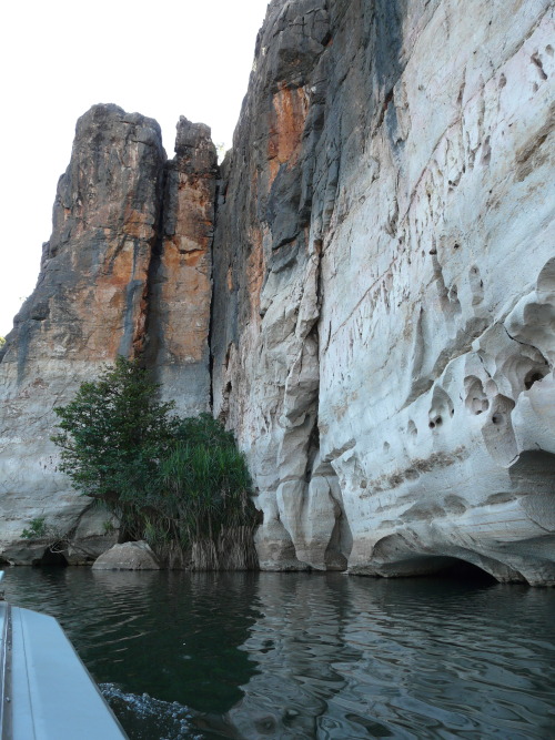 stitpics:Water eroded limestone walls of Geikie Gorge on the Fitzroy River near Fitzroy Crossing in 