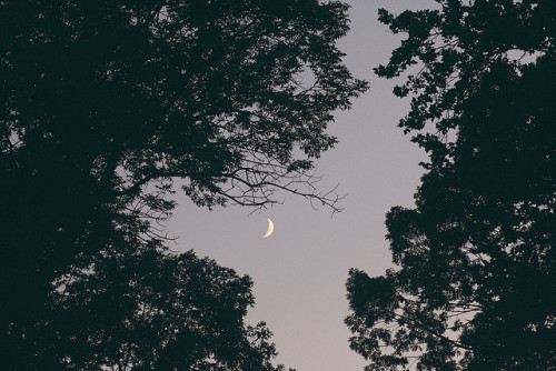 grett:untitled by astisdale on Flickr.