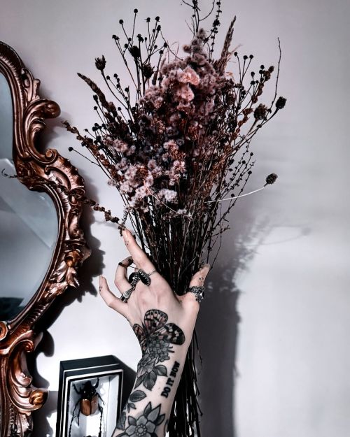 IG: The_Rosemoth