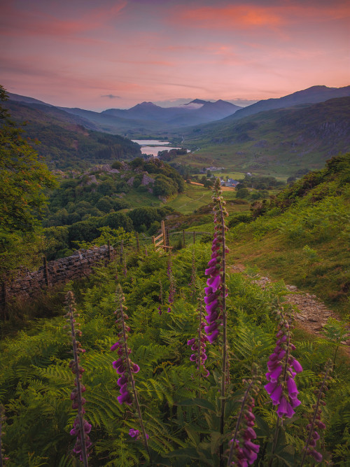 allthingseurope - Snowdonia, Wales (by Elgan Jones)