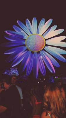 lynne-win:  Find the electric daisy. 