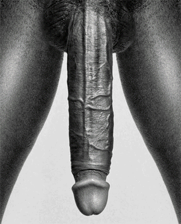 tanda88:  God I LOVE that word! and those COCKS!