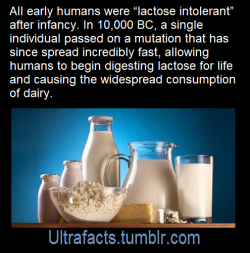 ultrafacts:  Source: [x] Click HERE for more facts! 