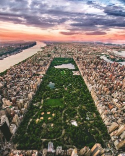 newyorkcityfeelings:  Central Park from above by @bskphoto