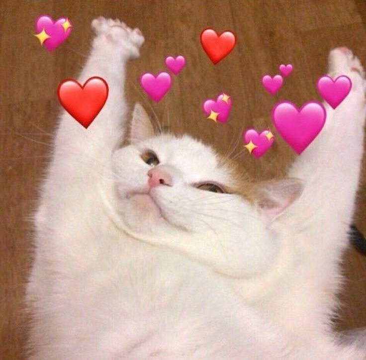 softwaring: mood