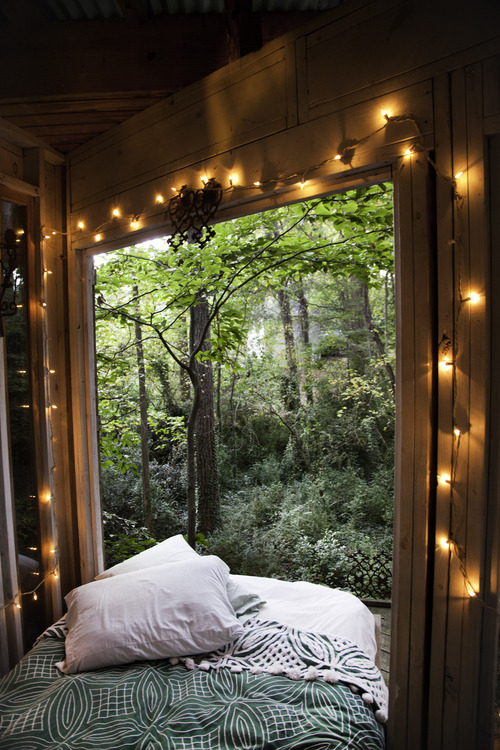 plasmatics:My Cool Shed by Lindsay Appel | (Website)