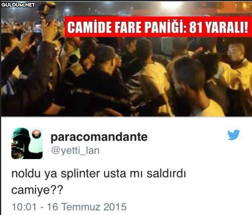 CAMİDE FARE PANİĞİ: 81...