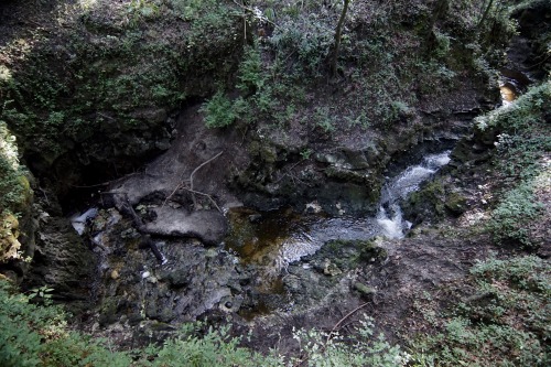 goodcopbearcop:Disappearing Creek near the Suwannee River.In North Florida it’s common for creeks an