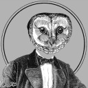 occasional-owl avatar