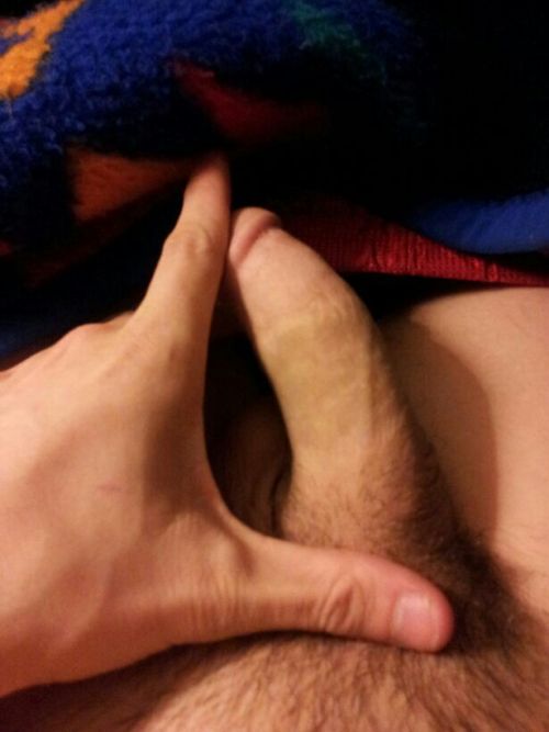 tumblr photo calohinchilli 3