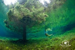 El parque sumergido del Lago Verde, Austria.