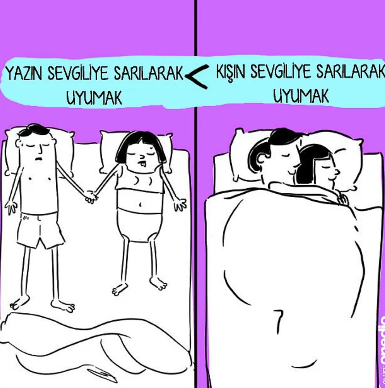Gibi Real Name