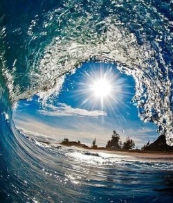 asurferdreams:  Surfing posts 