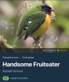 Sex koraxmarinus:the bird namers really knocked pictures