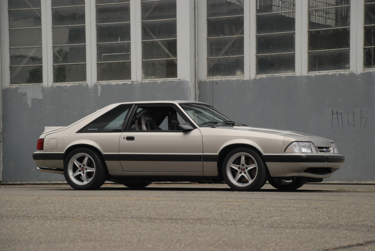 JUST THE COOLEST MUSTANGS