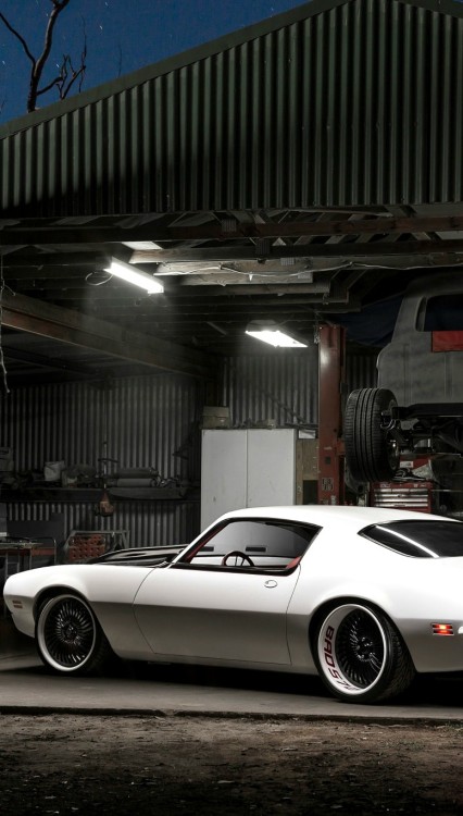 h-o-t-cars:  Pontiac Firebird | Source