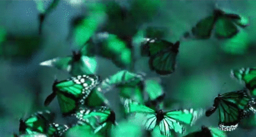 dirtyhippieproductions:  Every Single One ☮  ❤ ॐ 