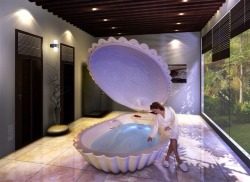 susgirl:  I want this flotation tank in my house 