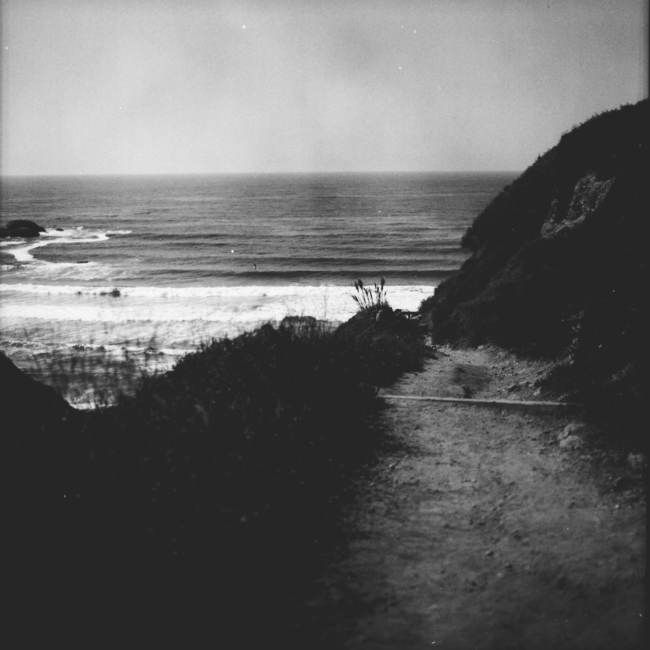 shakasandsinglefins:  Big Sur.  120mm film.   