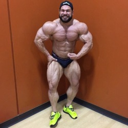 pnobear:  musclegods2:  Steve Kuclo 2 weeks before Wings of Strength Texas Pro 2015 where he placed 2nd.  😍