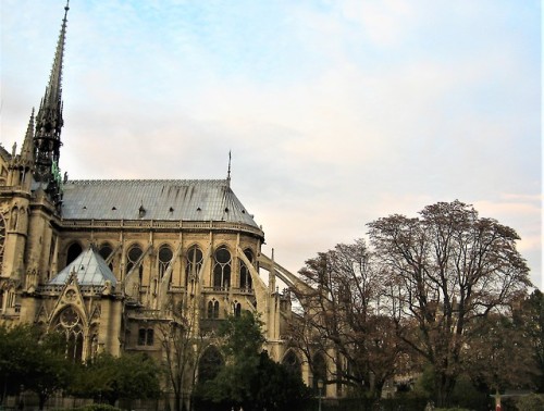 Notre Dame de Paris. My memories. My love.