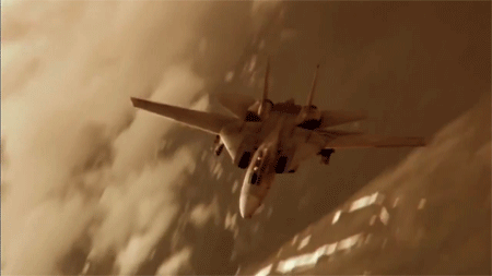 riidaroku:  Northrop Grumman F-14 Tomcat 