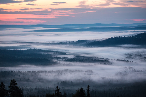 tiinatormanenphotography: Aaah I love late summer misty nights!  Iso-Syöte, Finland.  