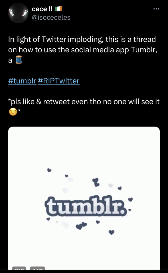 Tumblr media