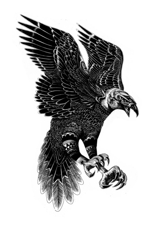 urhajos:  Iain Macarthur 