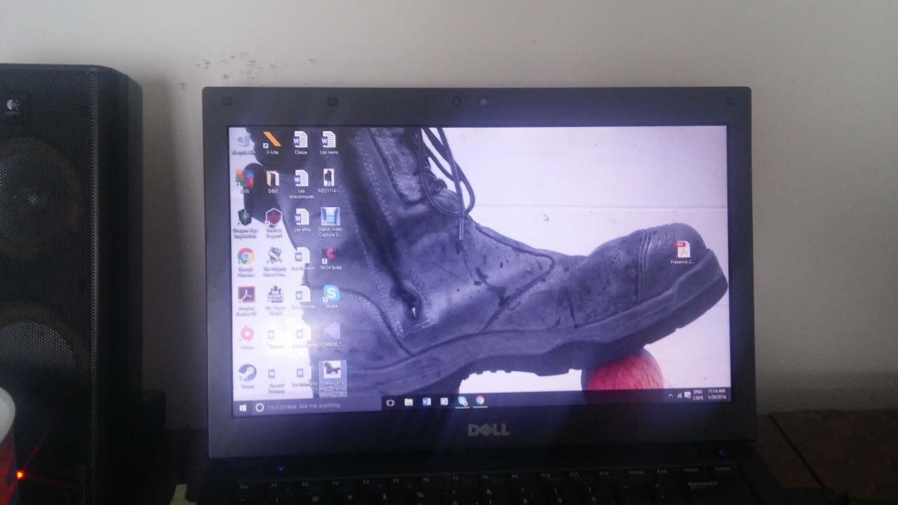 boss-of-fags:  My knew background for my school laptop. Can’t help but laugh with