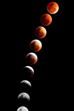 wnderlst:  Total Lunar Eclipse (April 15, 2014) | Matthew Crowley 