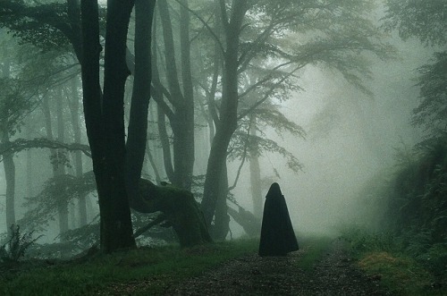 “A witch ought never to be frightened in the darkest forest… Because she should be sure in he