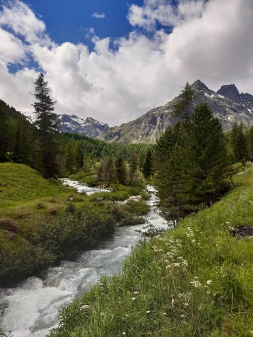 amazinglybeautifulphotography: Italy, Lombardy, Val Viola Alpine valley beautiful and easy to travel