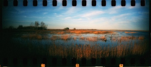 At the marsh with my Sprocket Rocket