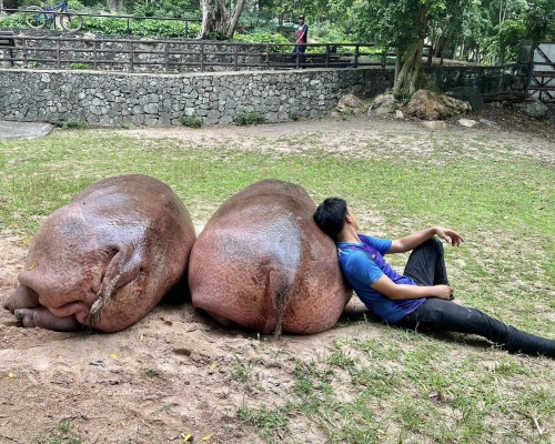 People In My Inbox Trying To Accuse Khao Kheow Zoo Of Abusing Moo Deng And Acting Like They Are Experts