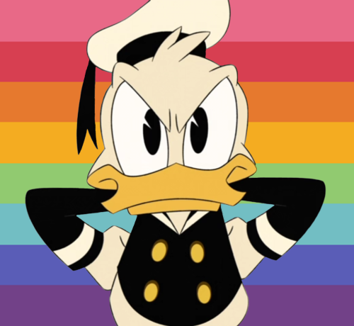 transdarkwingduck:ive had requests for gay and bi donald icons sitting in my inbox for ages lol bett